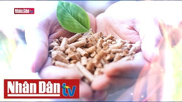 Viên nén sinh khối: Cần "điểm tựa" để phát triển bền vững