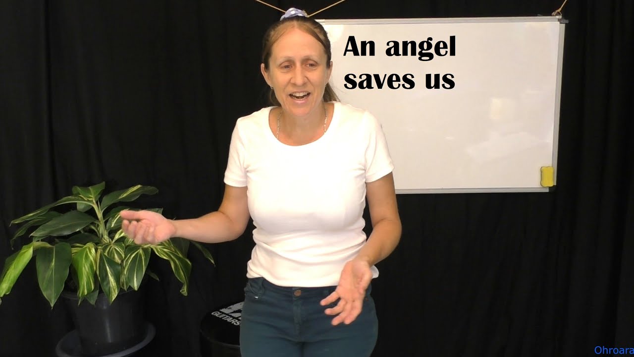 An Angel Saved Us, a Dog, and a Kangaroo