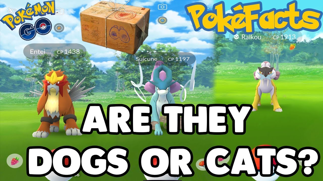 PokéFacts: Are Entei, Suicune, And Raikou Legendary Dogs or Cats? POKÉMON GO - YouTube