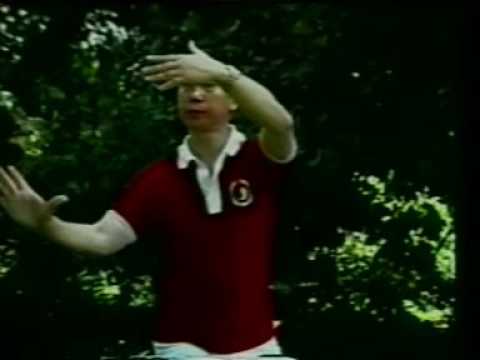 Video: Tai Chi Ja Qigongi Erinevus