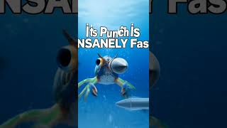Ei Choto Prani Punch Mere Shockwave Create Kore! #amazingfacts #facts #sciencefacts