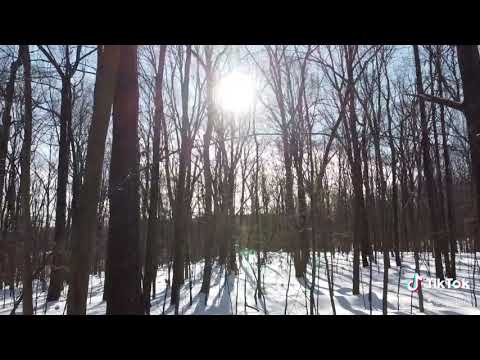 English نزار قباني رسائل حب Nizar Qabbani