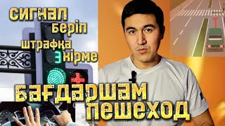 Жаңа бағдаршам және сигнал беруге бола ма негізі? Басты назар аудару керек жағдайлар