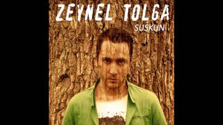 Album cover (Zeynel Tolga) Resimi
