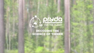 Decoding the science of timber