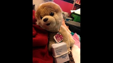 Kubeflow End to End - GitHub Issue Summarization code lab walk through