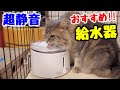 【プラスアクア】猫・犬のおすすめ自動給水器はコレ！超静音＆お手入れが簡単♪