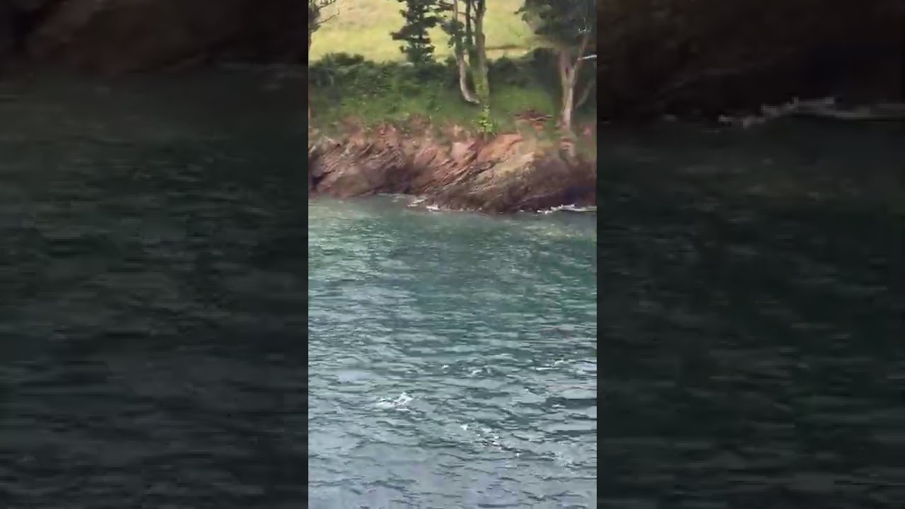 Beautiful combe Martin beach UK