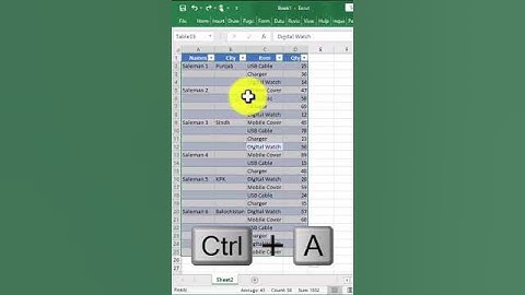 Excel Pro Tips | Don