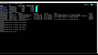 Details Test Docker ApplicationMySql, Nginx, Apache, Ubuntu, Redis News