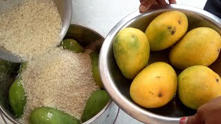 How To Ripen Mangoes in Rice /మాడికాయలను మాగపెట్టడం/Raw Mangoes Ripening in Rice/Mango Ripening Tips