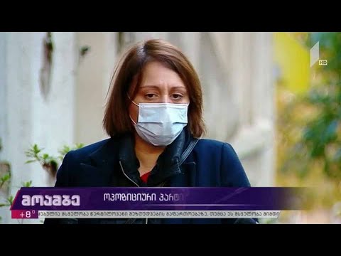 ოპოზიციური პარტიების შეხვედრა