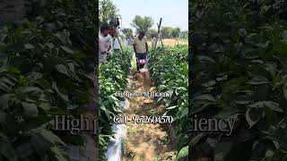 Mini Weeder #farmer #kisan #miniweeder