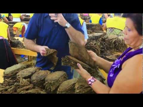 Padron Cigars TOUR HD