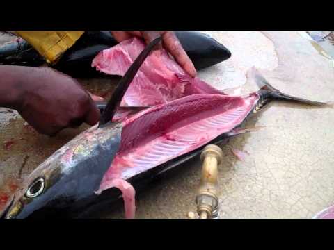 How To Fillet Fish Yellowfin Tuna Bigeye Tuna-11-08-2015