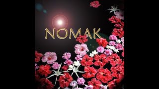 Download Lagu Nomak - Combine (Full Unreleased Album - 2005) MP3