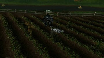 hilsbrand survival guide