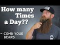 Comb your beard  how often should you