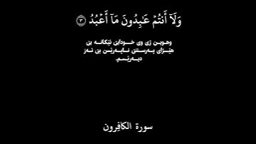 القارئ ياسر الدوسري من #سورة_الكافرون