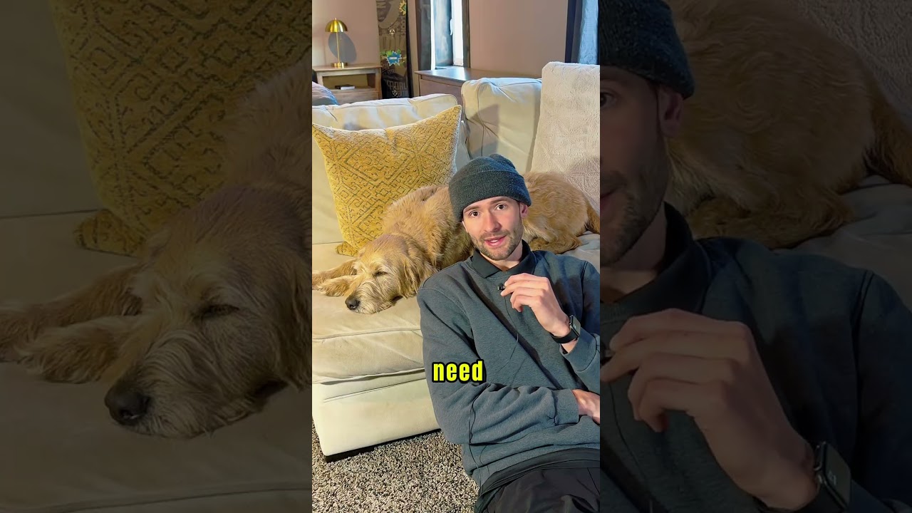 Потенциальный новый подписчик скоро появится!? 