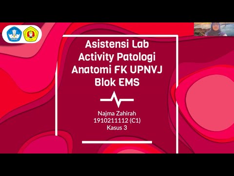 Asistensi Lab Activity Blok EMS 2022