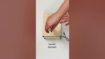 Lever sensor #escaperoomsupplier #escaperoom #escaperoompuzzle #electronics #asmr #plugnplay #lever