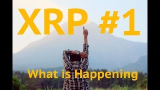 XRP Price Drop WHY?? Can XRP hit $1 by EOY? XRP Price Drop WHY?? Can XRP hit $1 by EOY?