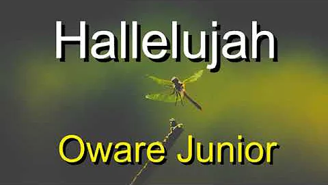 Oware junior  Halleluja Nyame video lyrics