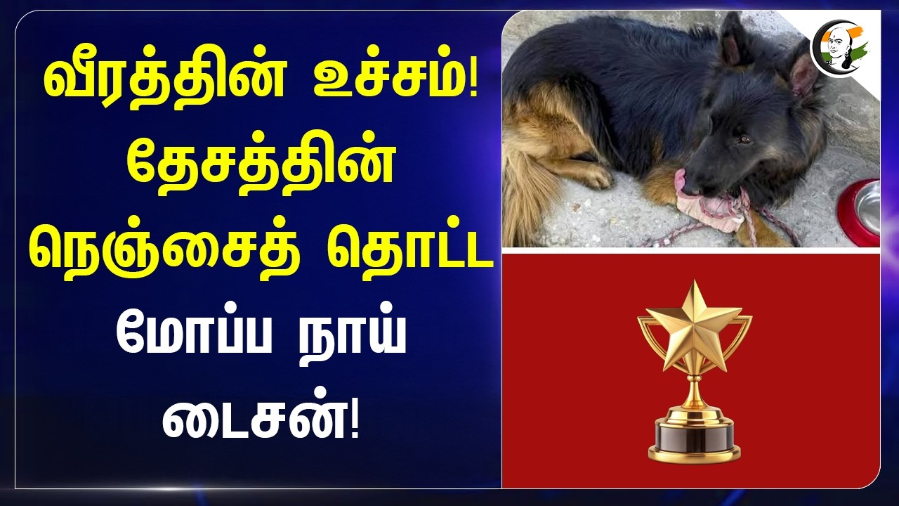 ⁣வீரத்தின் உச்சம்! India-ன் நெஞ்சைத் தொட்டமோப்ப நாய் Taison! | Indian Army | National Security