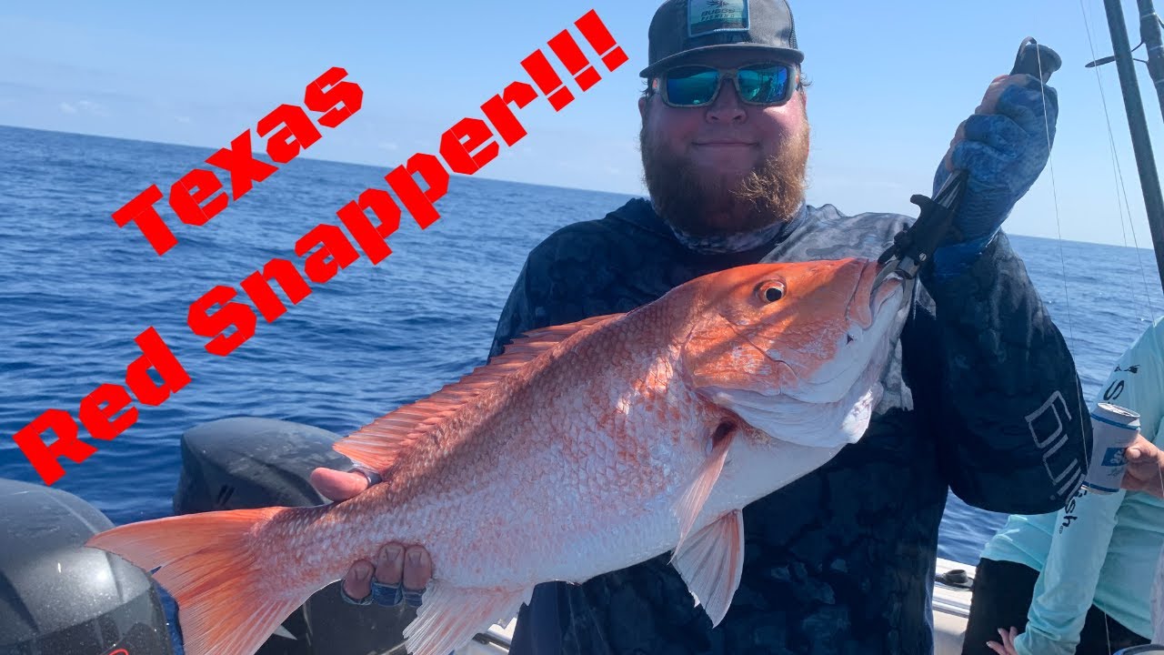 Texas Red Snapper YouTube