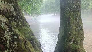 Şiir; Veda Okuyan; Kenan Işık