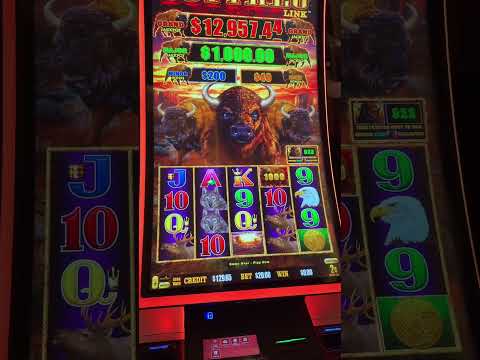 En Sportium tenemos nuevas promociones de casino todas las semanas