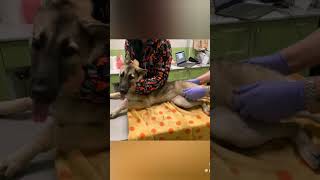 Скинули с 4 го этажа
