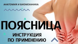 Поясница. Инструкция по применению.