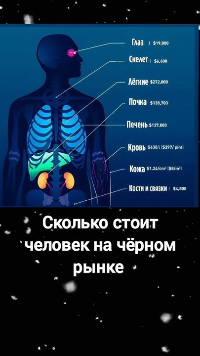 Сколько на чёрном рынке стоит человек #образование #интересныефакты # ...