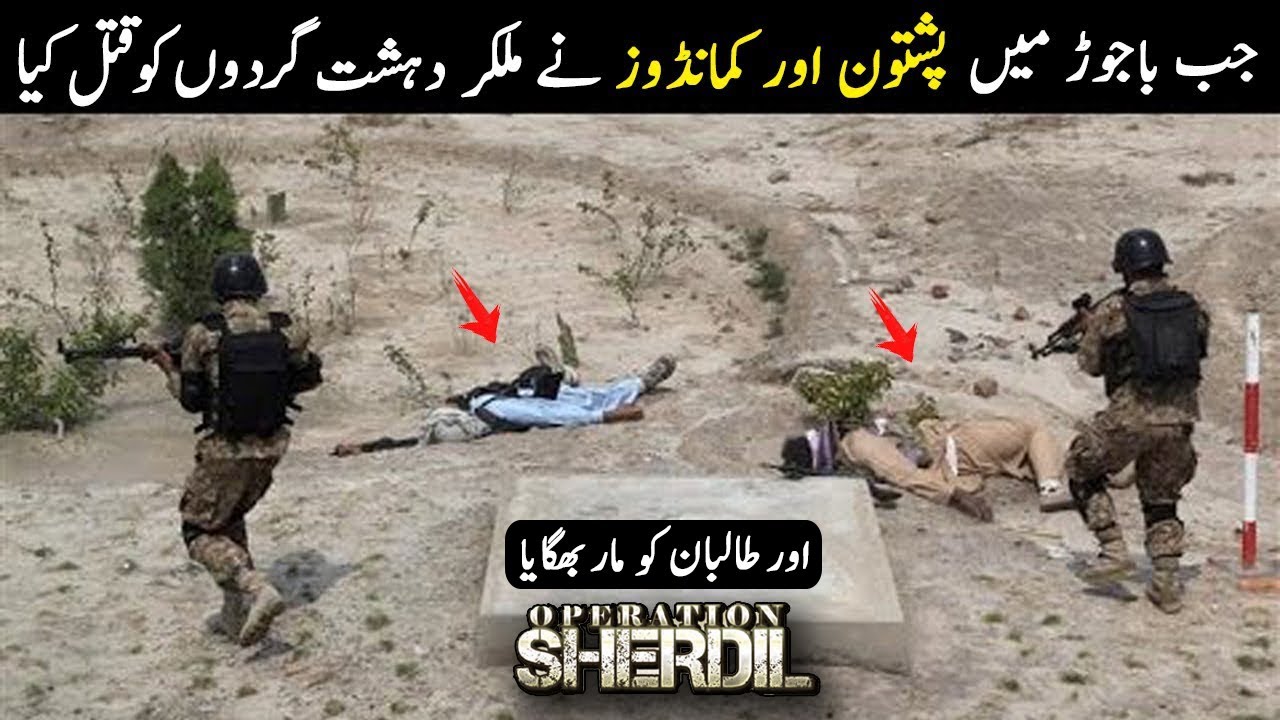 Битва при Баджуре || Операция «Шер Дил» || Когда пуштуны помогают пакистанской армии