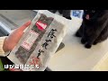田舎のおばあちゃんが大好きだった蜜入り落花生が美味しすぎた🐱