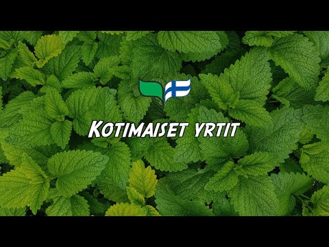 Video: Mitkä Yrtit Sopivat Kotitekoiseen Teeseen