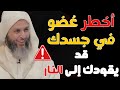أخطر عضو في جسدك الشيخ سعيد الكملي أخطر عضو في جسدك الشيخ سعيد الكملي