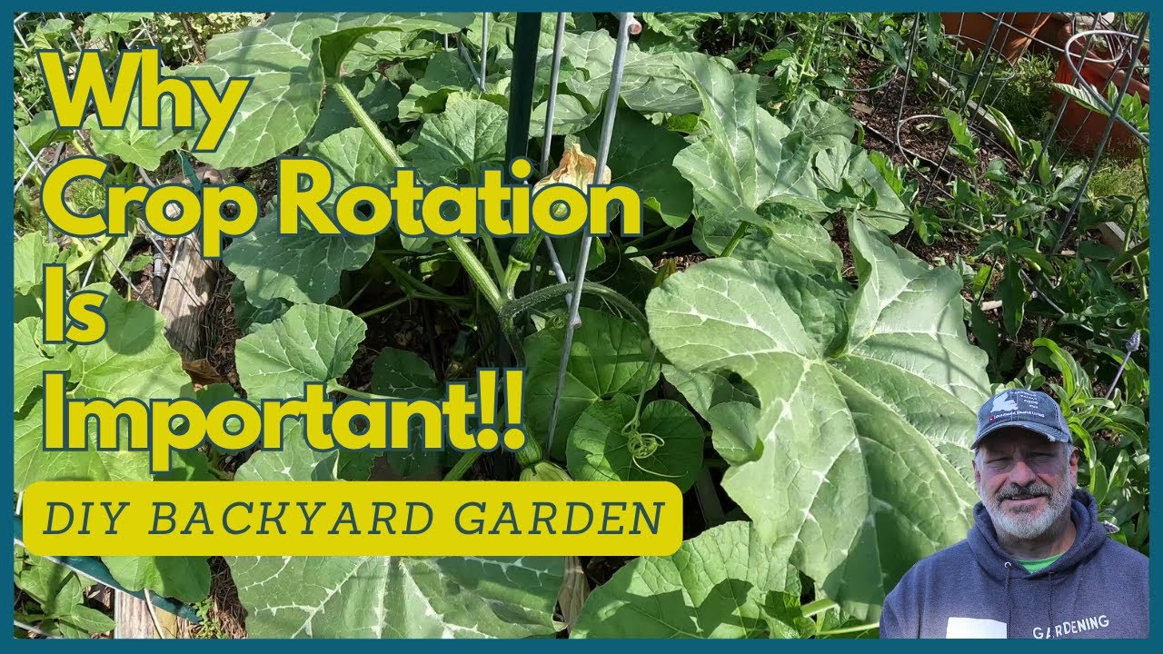 Why Crop Rotation Is Important! - YouTube