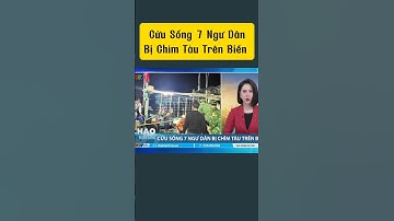 Cứu Sống 7 Ngư Dân Bị Chìm Tàu Trên Biển