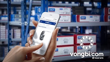 Đại lý uỷ quyền SKF - VONGBI.COM