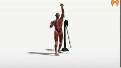 Exercise Videos- Cable Single Arm Push Press