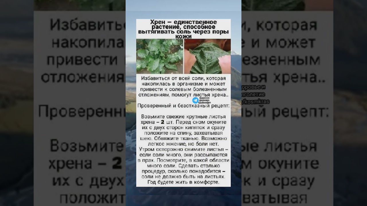 ⁣растение, которое способно вытягивать соль через поры кожи #медицина #здоровье #долголетие #зож