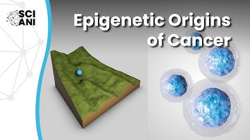 Can Epigenetic Mechanisms Initiate Cancer?