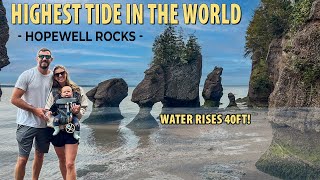 The Highest Tidal Range In The World  Hopewell Rocks Canada and The Fundy Trail Parkway