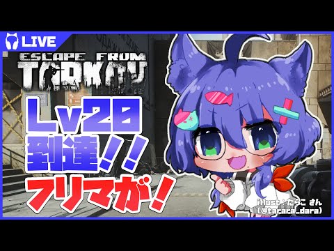 【 EFT / タルコフ 】 Lv20到達！フリマ使ってお金稼ぎ！！！ 【 #ネコネコ生放送 / Vtuber 】