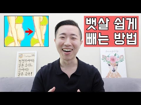 시서스추천