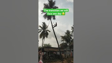 Save trees , Save our life 🙏🏻 #tree #environment #sad #emotional #trendingshorts #youtubeshorts
