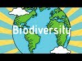 Biodiversity's Role in Ecosystem Resilience and Health